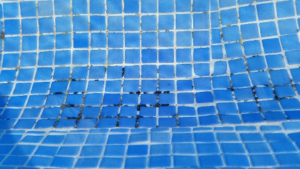 <center>&iexcl;Bienvenido a ClubPiscina!</center>